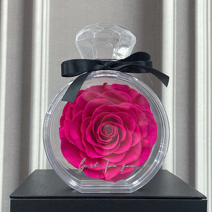 Eternal Rose in Transparent Gift Box