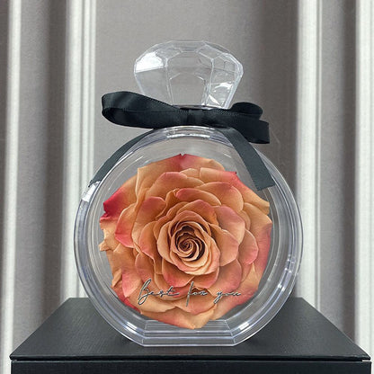 Eternal Rose in Transparent Gift Box